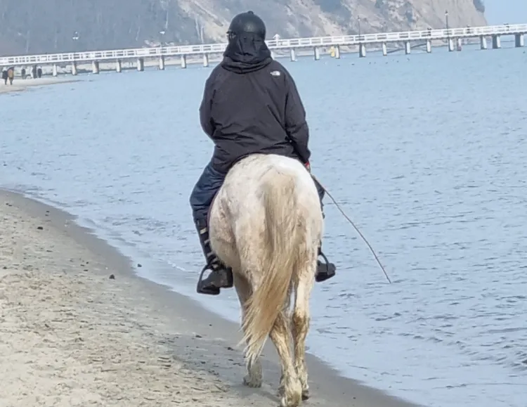 Zdaniem naszego czytelnika, fani jeździectwa, którzy nie sprzątają po zwierzętach, to duży problem na plażach.