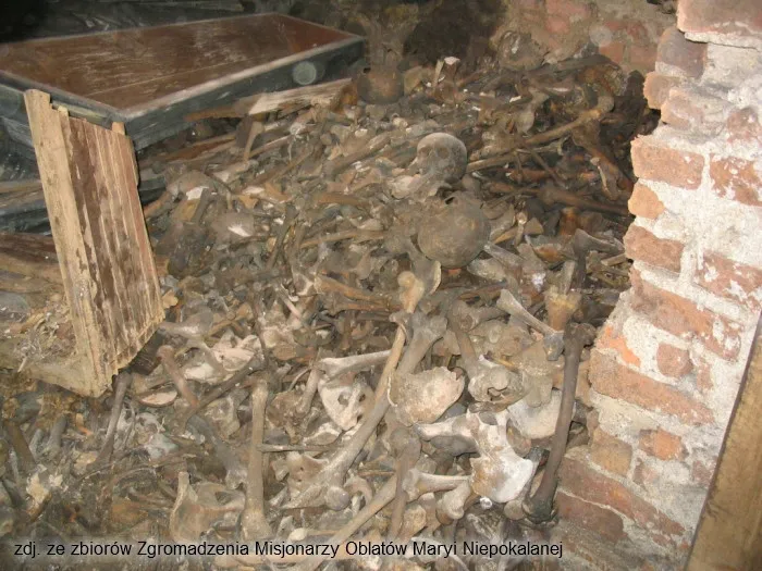 Szczątki odkryto podczas prac remontowo-konserwatorskich  prowadzonych w kościele w 2018 r. Pod posadzką natrafiono na krypty, w których znajdowały się trumny i wiele ludzkich kości.
