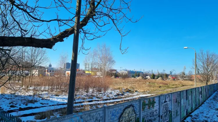 Teren na końcu ul. Wiosny Ludów. Deweloperzy czekają na wydanie pozwolenia na budowę. 
