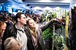 Festiwal Roślin cieszy się dużym zainteresowaniem. W Polsat Plus Arenie Gdańsk możemy wybierać spośród setek gatunków roślin.