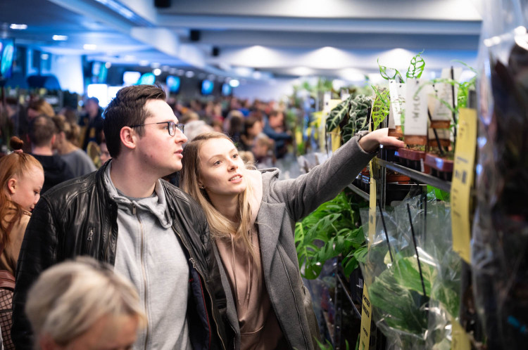 Festiwal Roślin cieszy się dużym zainteresowaniem. W Polsat Plus Arenie Gdańsk możemy wybierać spośród setek gatunków roślin.