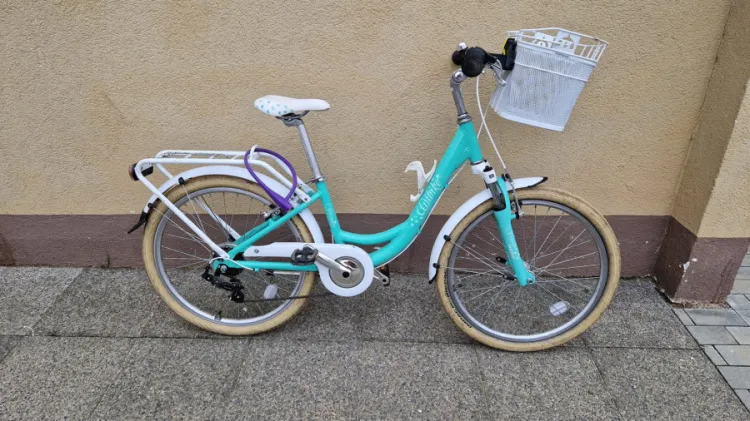 To jeden z rowerów, które można znaleźć do kupienia w serwisie ogłoszeń na Trojmiasto.pl