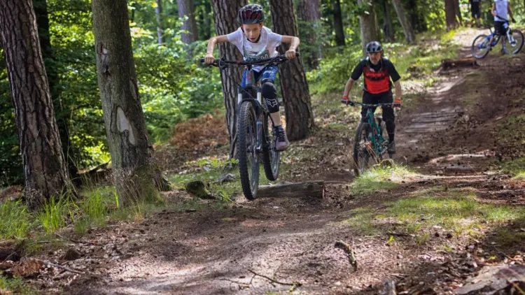 Jazda rowerem MTB po lesie to rozrywka dla całych rodzin. Teraz będzie to znacznie bezpieczniejsze.