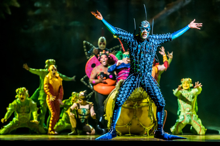 Spektakl "Ovo" (po portugalsku "jajko") w wykonaniu Cirque du Soleil przenosi widzów w świat owadów i ich nieustannego ruchu: od potężnych świerszczy odbijających się od trampolin po pająka wijącego się w swojej sieci.