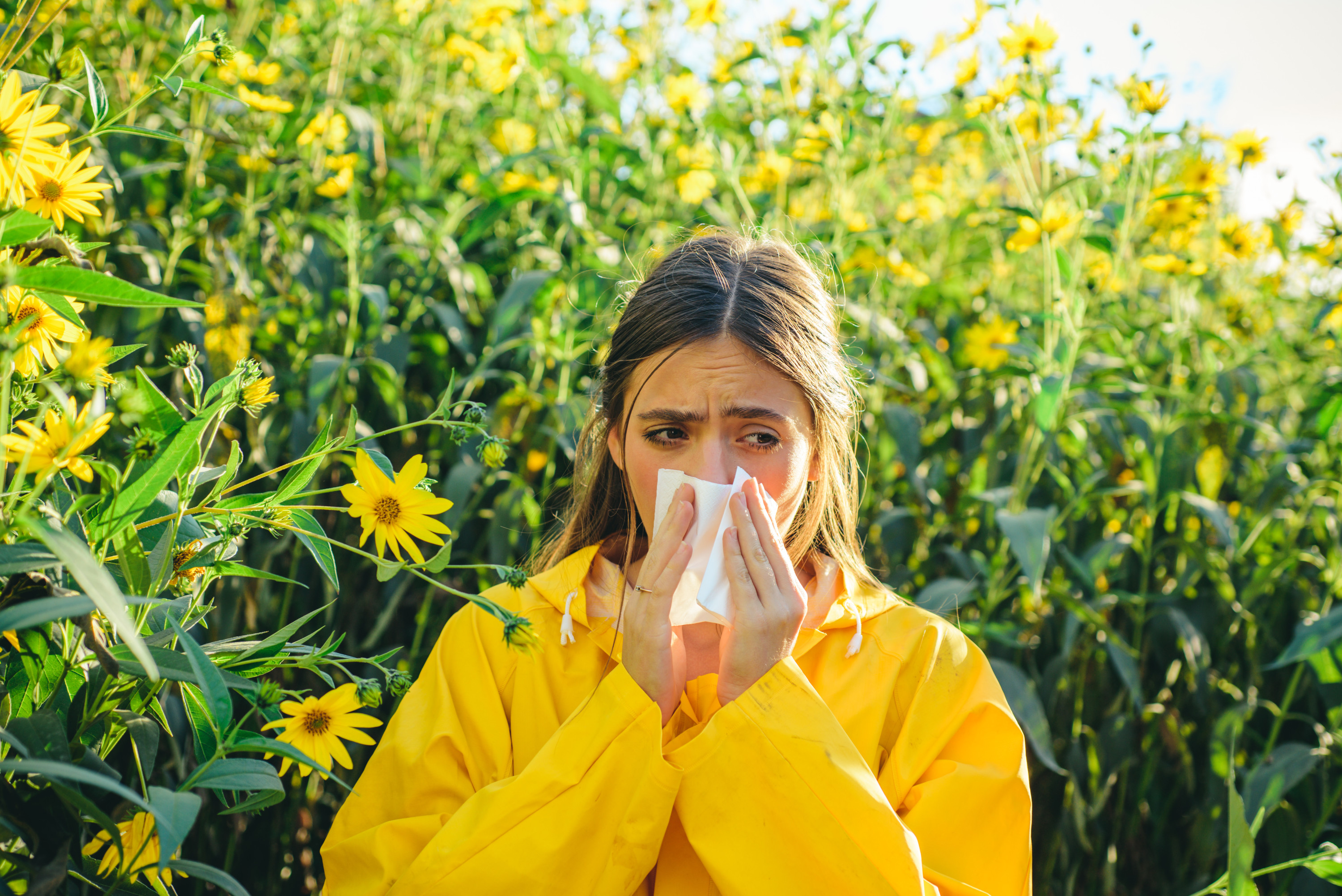 Objawy Alergii Na Pyłki Jak Wygląda Uczulenie Na Pyłki 2727