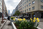 Na ul. Starowiejskiej pojawiły się parklety, donice z kwiatami, siedziska, ławki i podesty pod ogródki gastronomiczne.