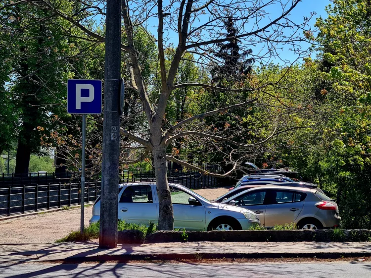 Nowe miejsca postojowe powstaną na działce między Kanałem Raduni a wejściem do parku. Obecnie jest tam dzikie klepisko, w części zarośnięte krzakami i drzewami.