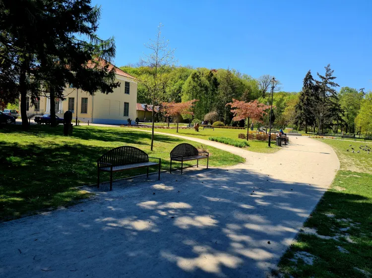Po rewitalizacji Park Oruński stał się obok Parku Oliwskiego i Parku Reagana jednym z ulubionych miejsc do spacerowania i spędzania wolnego czasu.