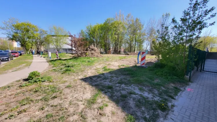 Prace ziemne w parku już się rozpoczęły i potrwają do października.