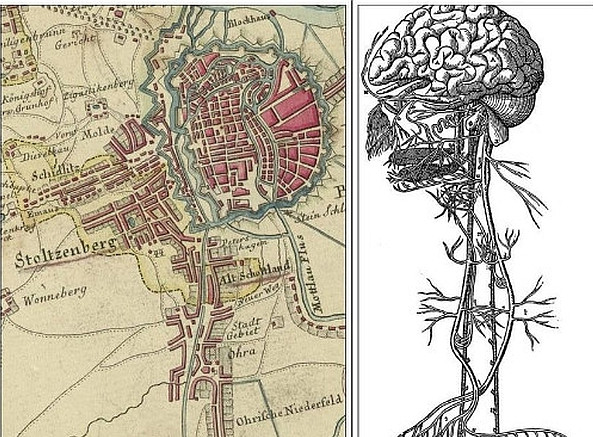 Rzucające się w oczy podobieństwo między układem przestrzennym Gdańska pokazanym na mapie z 1783 r. a grafiką prezentującą układ nerwowy człowieka. Kliknij, by zobaczyć całość.