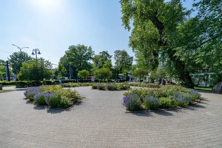 Plac z zielenią po stronie dawnego Domu Zdrojowego