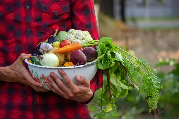 Sezonowe warzywa nie tylko mają największą gęstość odżywczą, ale są przede wszystkim zdrowsze, ponieważ nie są długo przechowywane.