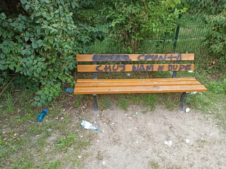Plac zabaw, choć atrakcyjny, jest mocno zaniedbany. Wyposażenie wymaga napraw, a wulgarne napisy w kilku miejscach usunięcia bądź zamalowania.