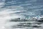 Gdynia Sailing Days 2023.
