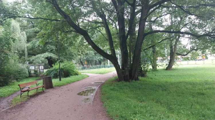 Deszczowa aura wcale nie musi być przeszkodą do tego, by ciekawie spędzić dzień. 