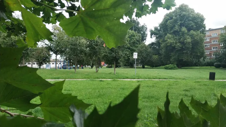 Deszczowa aura wcale nie musi być przeszkodą do tego, by ciekawie spędzić dzień. 