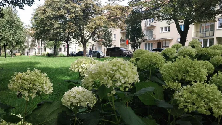 Deszczowa aura wcale nie musi być przeszkodą do tego, by ciekawie spędzić dzień. 