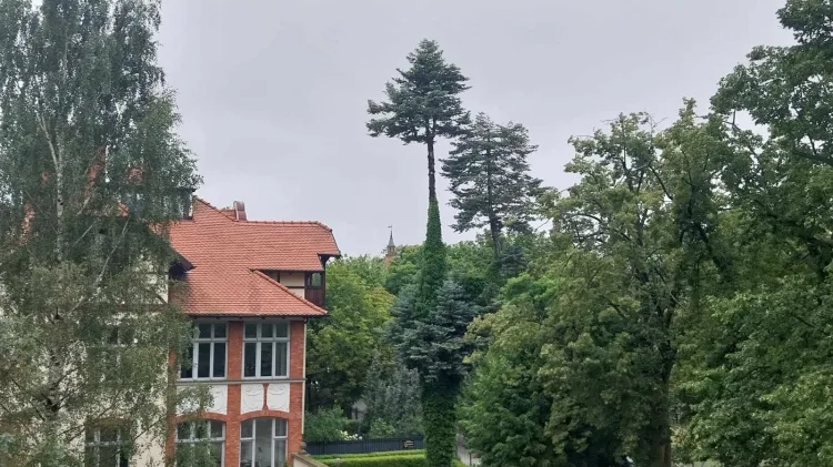 Deszczowa aura wcale nie musi być przeszkodą do tego, by ciekawie spędzić dzień. 