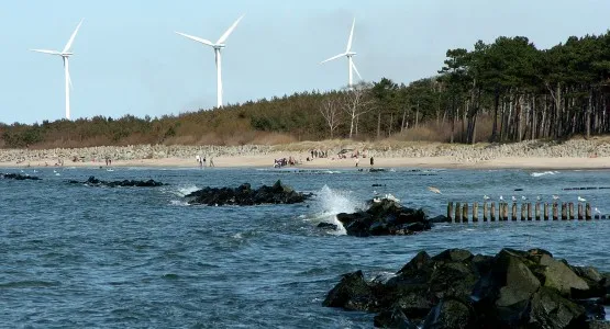 - Skoro wiatraki mogą stać nad samym morzem, to znaczy, że walory krajobrazowe Gdyni także nie są zagrożone - przekonują radni Gdyni.