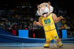 Tygrys to maskotka koszykarzy Suzuki Arki Gdynia.