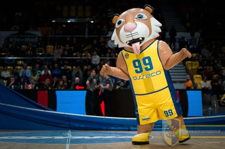 Tygrys to maskotka koszykarzy Suzuki Arki Gdynia.