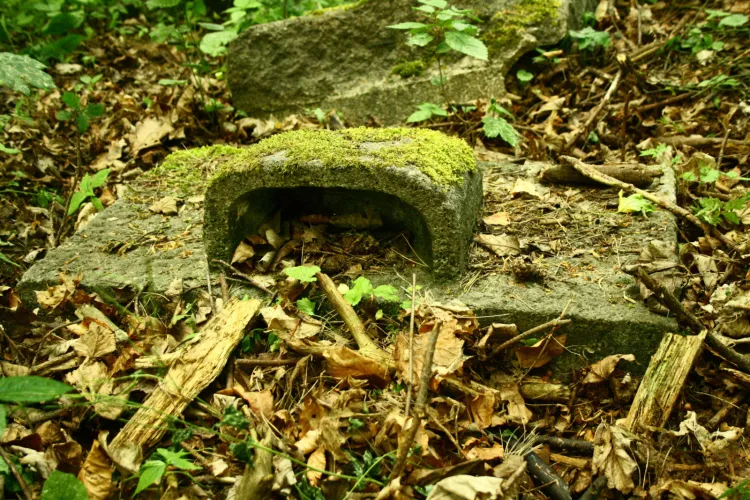 W wielu częściach Gdańska do dziś można znaleźć pozostałości dawnych nagrobków, pochodzących z nieistniejących już miejskich cmentarzy.