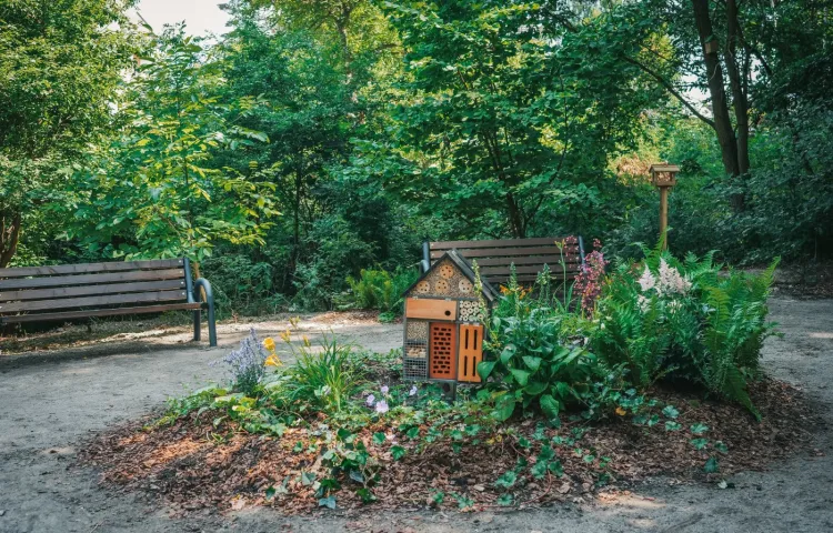 Pozytywnym przykładem jest park kieszonkowy stworzony w ramach BO według pomysłu 15-latki z Grabówka.