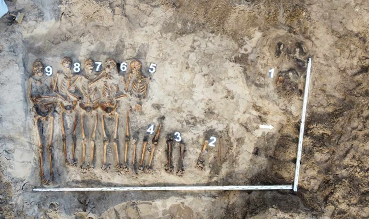 - Odkryliśmy szczątki pięciu osób w układach anatomicznych oraz częściowo zachowane szczątki czterech kolejnych osób. Uwzględniając wcześniej odkryte szczątki na tym obszarze, łącznie z mogiły podjęto 13 osób - żołnierzy niemieckich z okresu II wojny światowej - mówi Maciej Stromski, archeolog.
