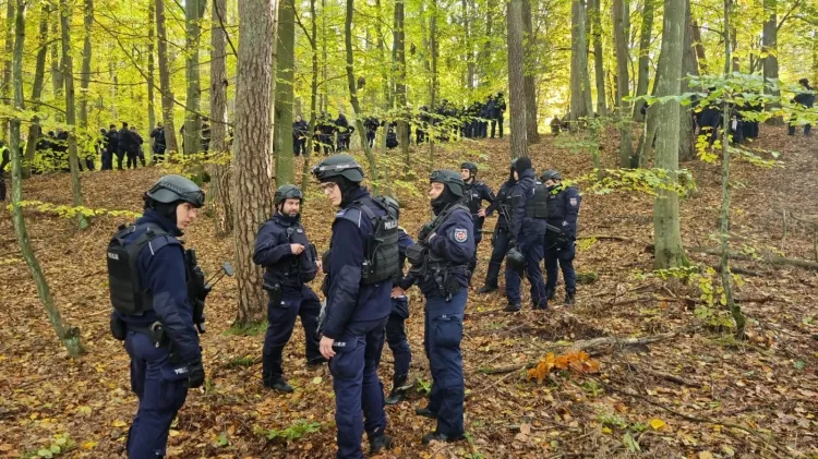 Policjanci krok po kroku przeczesują trójmiejskie lasy.