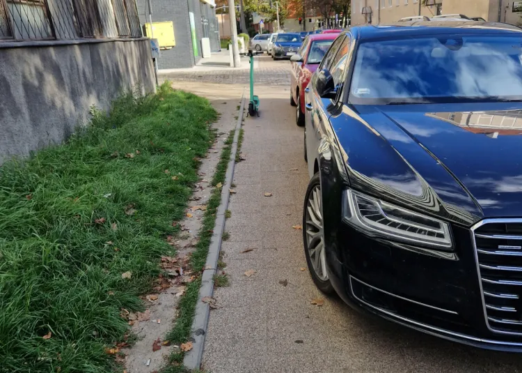 Wielu kierowców stawiając auto na chodniku, robi to, łamiąc przepisy. 