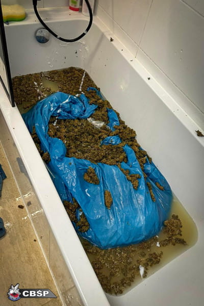 Narkotyki znaleziono w wannie i w pralce.