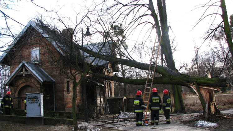 Ubezpieczenie to nieodzowny ratunek, kiedy dzikie kuny albo spadające drzewo kompletnie zniszczą dach. 