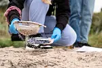 W ramach współpracy Centrum Experyment i Instytutu Oceanologii PAN, młodzi ludzie pomagali poszukiwać mezoplastiku na bałtyckich plażach, a także sprawdzali czy morszczyn pęcherzykowaty wciąż występuje w południowym Bałtyku.