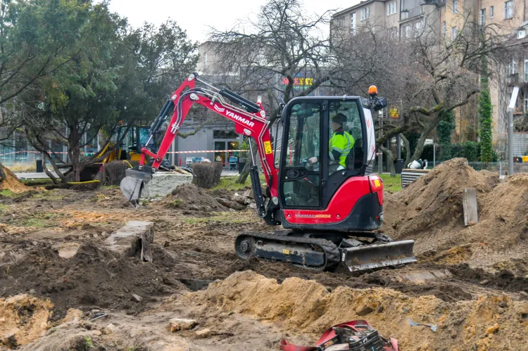 Usuwanie drzew ze skweru Żeromskiego w Gdyni 