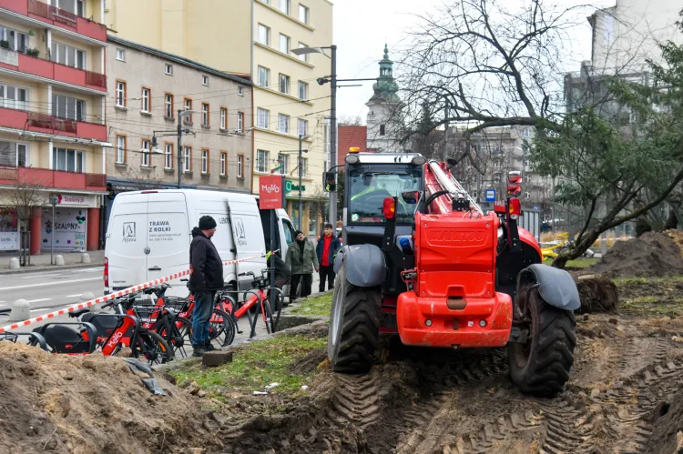 Usuwanie drzew ze skweru Żeromskiego w Gdyni 