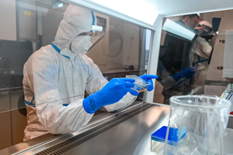 Nowe laboratorium UG zostało zakwalifikowane jako BSL3+, a więc naukowcy mogą pracować w nim nad patogenami przenoszonymi drogą kropelkową. 