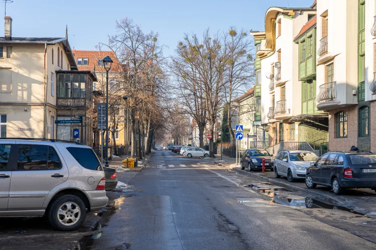 Wytyczne do projektu przewidują m.in. wprowadzenie dodatkowej zieleni, w tym nowe nasadzenia drzew.