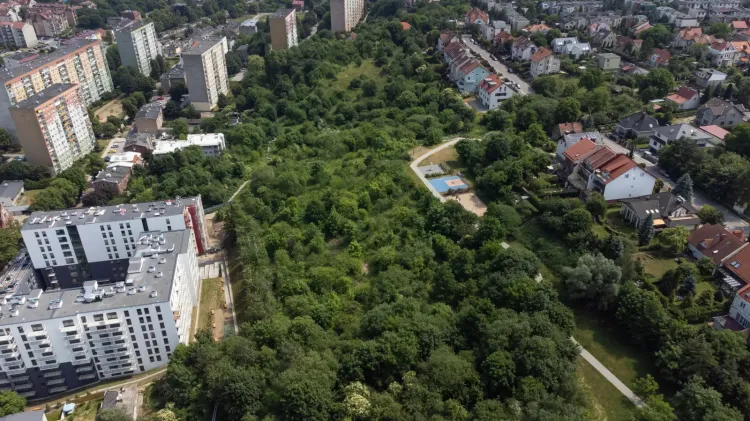 Widok z góry na park na Zboczu. Domy po prawej stronie to Wzgórze Mickiewicza, bloki po lewej to Siedlce. Nie ma zgody między dzielnicami na zmianę granic tego terenu.