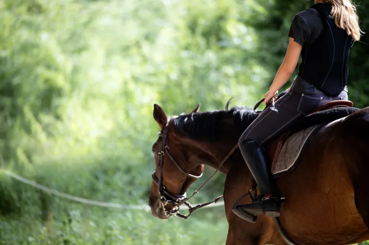 Zatrzymana 34-latka musiała pasjonować się jeździectwem, bo jej łupem padły m.in. buty do jazdy konnej i odżywki dla konia. 
