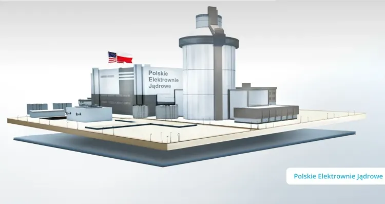 Poglądowa wizualizacja reaktora pierwszej elektrowni jądrowej w Polsce.