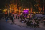 To już piąta odsłona Lasów - projektu muzycznego i kameralnej przestrzeni koncertowej znajdującej się przy Operze Leśnej.
