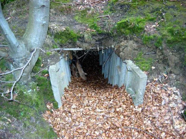 Jeden z najlepiej zachowanych tunelików niewiadomego pochodzenia w Dolinie Samborowo.