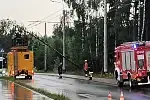 Drzewo przewrócone na sieć trakcyjną w Gdyni.