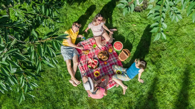 Piknik w środku miasta? Czemu nie. Podpowiadamy, gdzie można się wybrać z kocem.