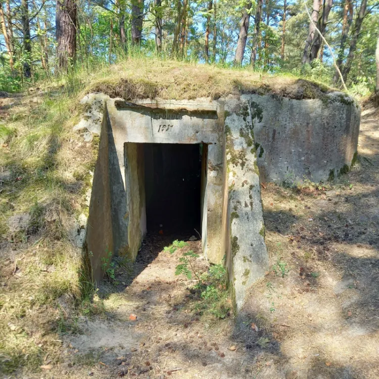Jeden z bunkrów Baterii Leśnej, ukryty w lesie na Stogach.