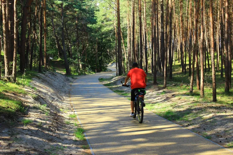 Leśna droga pieszo-rowerowa ma powstać w śladzie obecnej ścieżki i połączy Stogi z Górkami Zachodnimi (zdjęcie poglądowe).