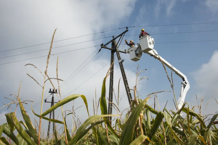 Tylko w latach 2025-2028 Energa Operator przewiduje wykonanie zadań inwestycyjnych obejmujących ponad 3 tys. km linii wysokiego napięcia 110 kV oraz 90 stacji 110/15 kV.