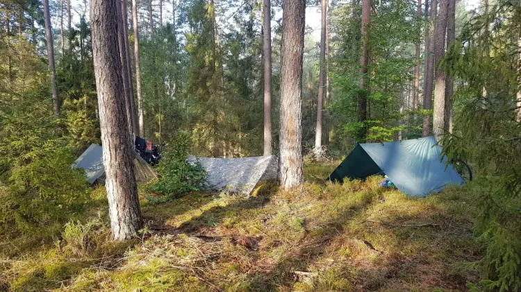 W lasach w okolicy Trójmiasta można natknąć się na "dzikie" biwaki. Wiele osób korzysta ze specjalnie wyznaczonych stref do bushcraftu i surwiwalu.