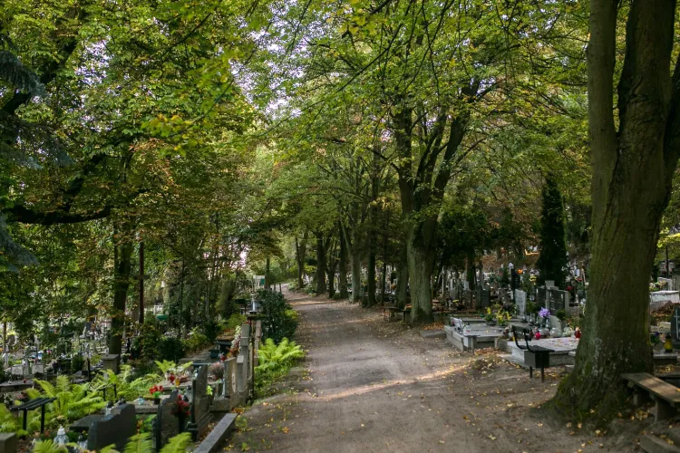 Na cmentarzu św. Franciszka zachowało się kilkadziesiąt nagrobków sprzed 1945 roku.