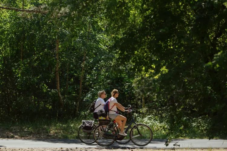 Osoby, które chcą wziąć udział w Paradzie, ale nie posiadają własnego roweru, będą mogły bezpłatnie skorzystać z dostępnych na miejscu kilkuset rowerów miejskich Mevo.